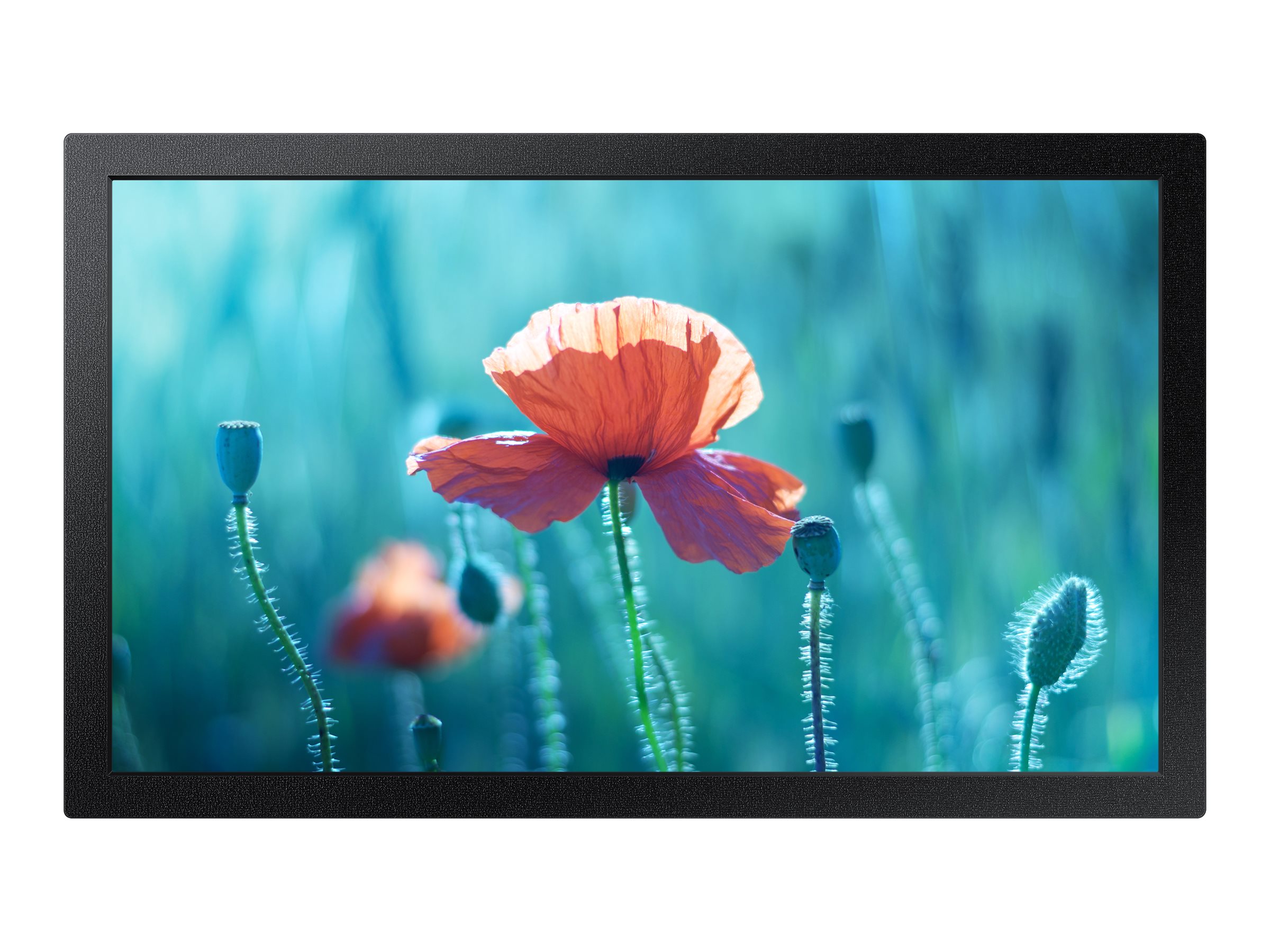 Lenovo ThinkSystem DB610S - Switch - managed