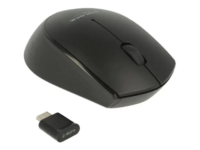 DeLOCK mini - Maus - rechts- und linkshändig - optisch - 3 Tasten - kabellos - 2.4 GHz - kabelloser Empfänger (USB) - Schwarz - retail