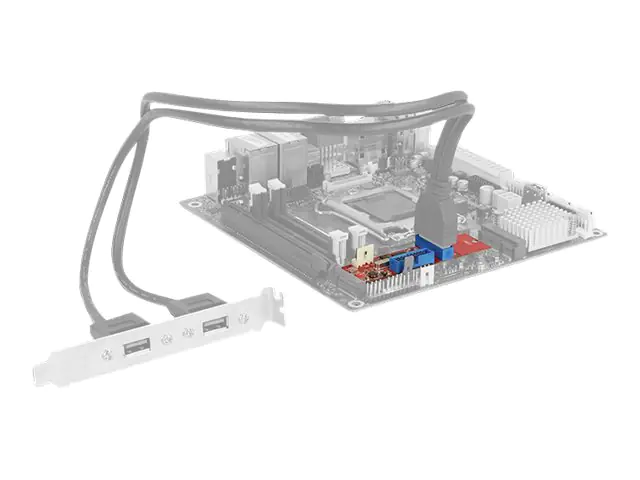 DeLock Converter M.2 Key B+M male > 2 x USB 3.0 Pin Header - USB-Adapter - M.2 Card - USB 3.0 (intern) x 2