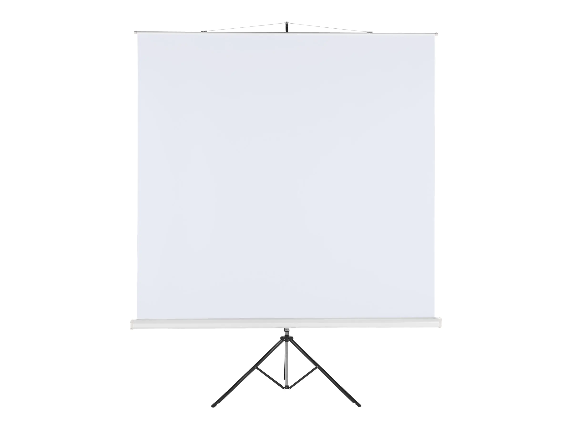 MEDIUM Professional - Projektionsbildschirm mit Stativ - 255 cm (100") - 1:1 - Matte White, Type D - weiß