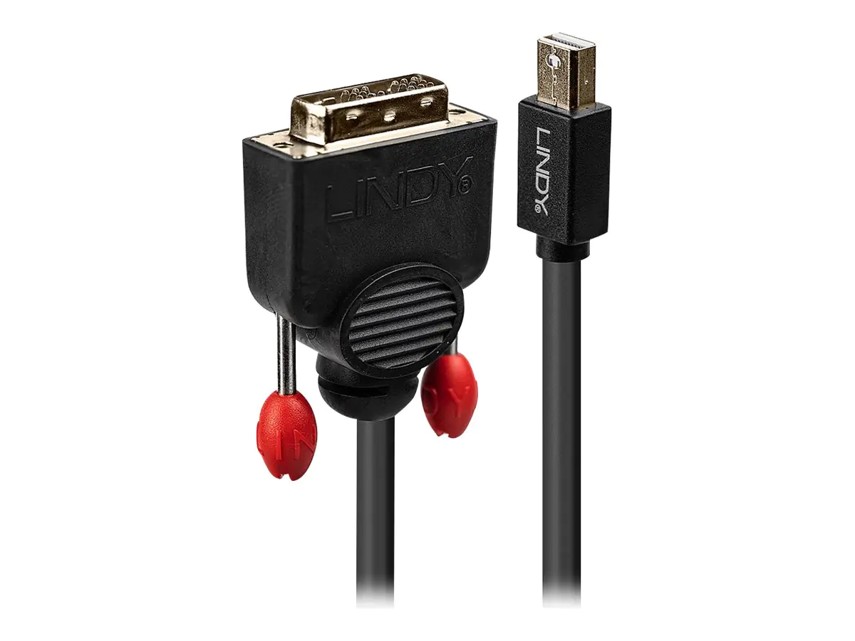 Lindy - DisplayPort-Kabel - Mini DisplayPort (M) bis DVI-D (M) - 1 m - Daumenschrauben - Schwarz