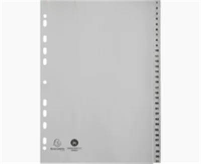 Exacompta Register 1931E A4 PP 1-31 grau