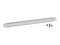 Triton RAC-ZP-X41-A1 - Rack-Blindabdeckungsplatte - RAL 7035 - 1U - 48.3 cm (19")