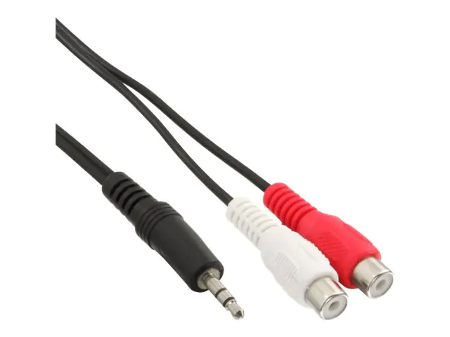 InLine - Audiokabel - RCA x 2 weiblich zu mini-phone stereo 3.5 mm männlich - 3 m - abgeschirmt - Schwarz