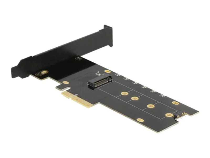 Delock - Speicher-Controller - M.2 - M.2 NVMe Card / PCIe 4.0 (NVMe) - Low-Profile - PCIe 4.0 x4