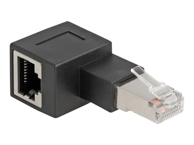 Delock - Netzwerkadapter - RJ-45 (W) links abgewinkelt zu RJ-45 (M) - CAT 6a