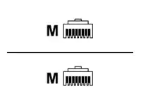Telegärtner MP8 FS 600 - Patch-Kabel - RJ-45 (M) zu RJ-45 (M) - 5 m - SFTP - CAT 7 - Blau