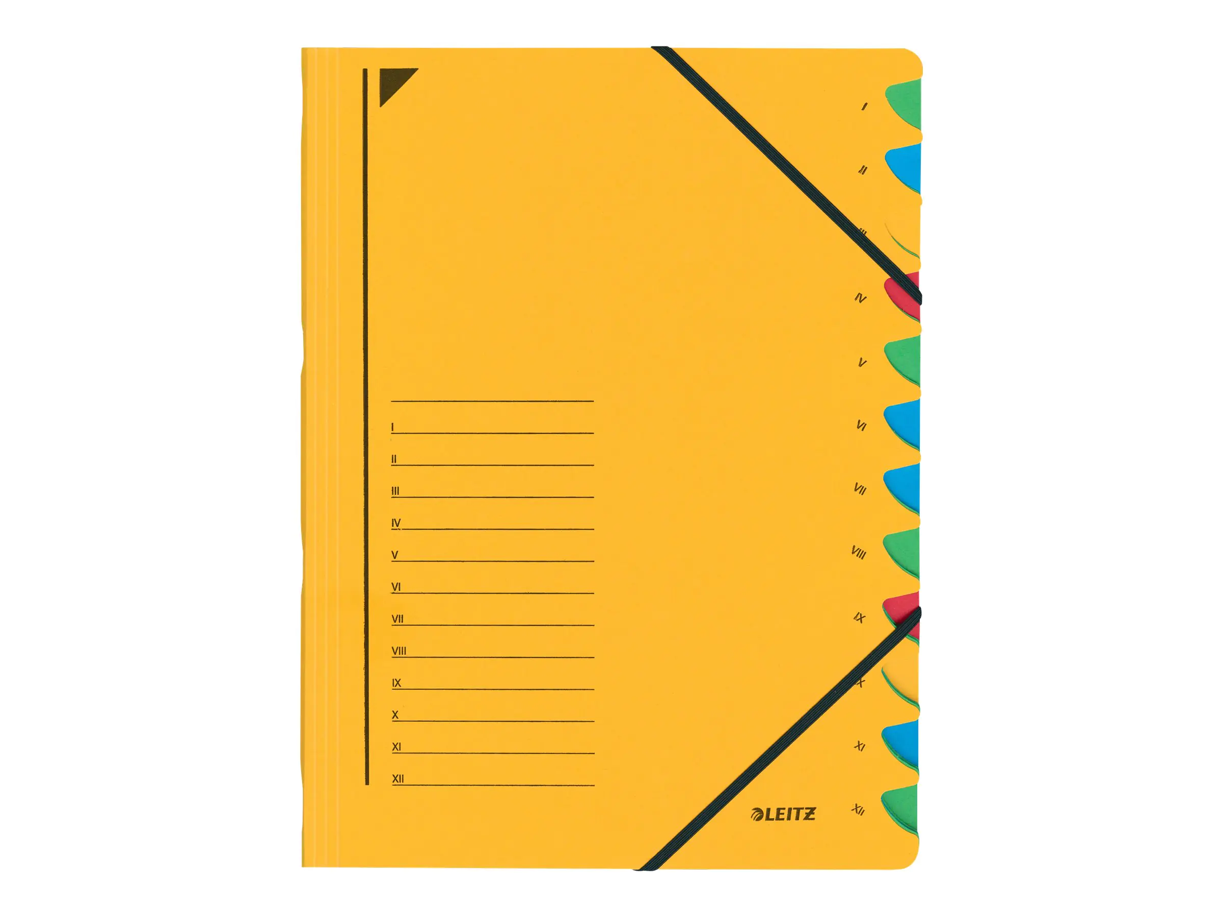 Esselte Leitz Trennelement - 12 Fächer - 12 Teile - vorgedruckt: I-XII - für A4 (210 x 297 mm) 39120015