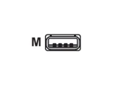 Datalogic CAB-424E - USB-Kabel - USB (M) - 2 m - gewickelt