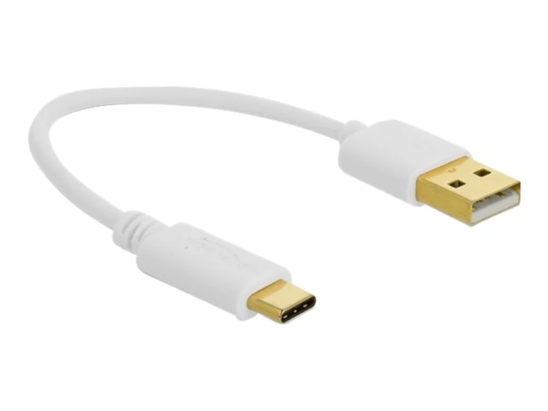 Delock - USB-Kabel - USB (nur Strom) (M) zu USB-C (nur Spannung) (M) - 3 A - 15 cm - weiß