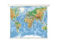 MEDIUM Rollo Universal - Leinwand - Deckenmontage möglich, geeignet für Wandmontage - 325 cm (128") - 1:1 - Matte White, Type D - weiß