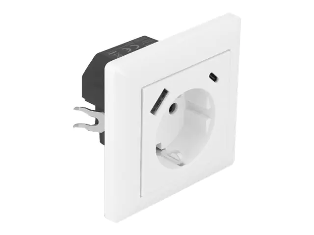 Delock - Steckdose - 2P+E - Typ F, USB, USB Typ-C - mit Verschluss - einfach - 1 Steckdose, 1 USB-Anschluss, 1 USB-C socket - 3.4 A - weiß