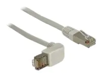 Delock - Patch-Kabel - RJ-45 (M) zu RJ-45 (M) - 1 m - S/FTP - CAT 6a - gewinkelt, halogenfrei - Grau