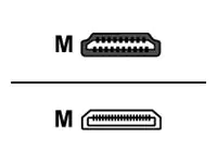 exertis Connect - HDMI-Adapter - 19 pin mini HDMI Type C männlich zu HDMI weiblich