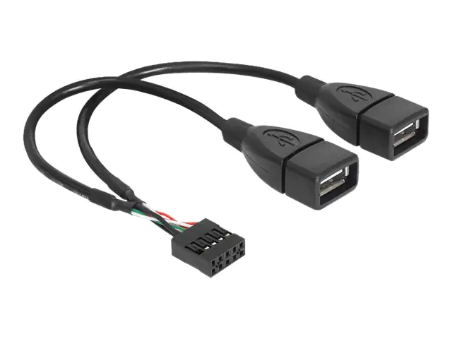Delock - USB-Kabel intern auf extern - USB (W) zu 9-poliger USB-Header (W) - 20 cm