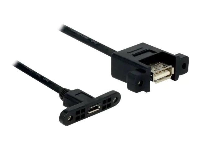 DeLOCK - USB-Adapter - USB Typ A (W) bis USB Typ A (W) - USB 3.0 - 25 cm - Blau