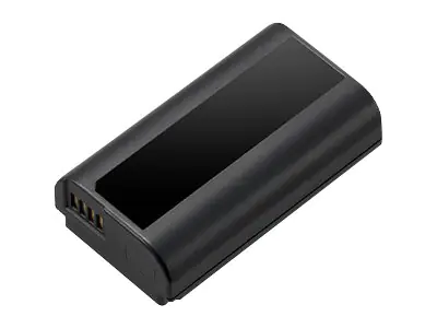 Panasonic DMW-BLJ31 - Batterie - Li-Ion - 3100 mAh - 23 Wh - für Lumix DC-S1M, S1, S1H, S1M, S1R, S1RM