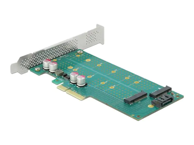 Delock - Speicher-Controller - M.2 - M.2 Card / SATA 6Gb/s - Low-Profile - SATA 6Gb/s, PCIe 4.0 x4