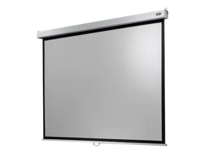 Celexon Manual Professional Plus Data format - Leinwand - Deckenmontage möglich, geeignet für Wandmontage - 350 cm (138") - 4:3 - mattweiß - weiß