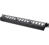 DEXLAN - Rack-Kabelführungsplatte mit Abdeckung - 1U - 48.3 cm (19")