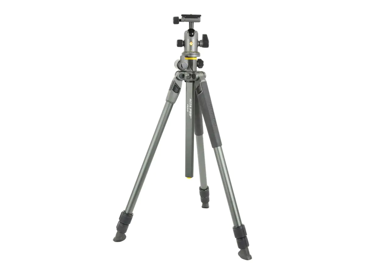 Vanguard Alta Pro 2+ 263AB100 - Stativ - mit Vanguard Alta BH 100