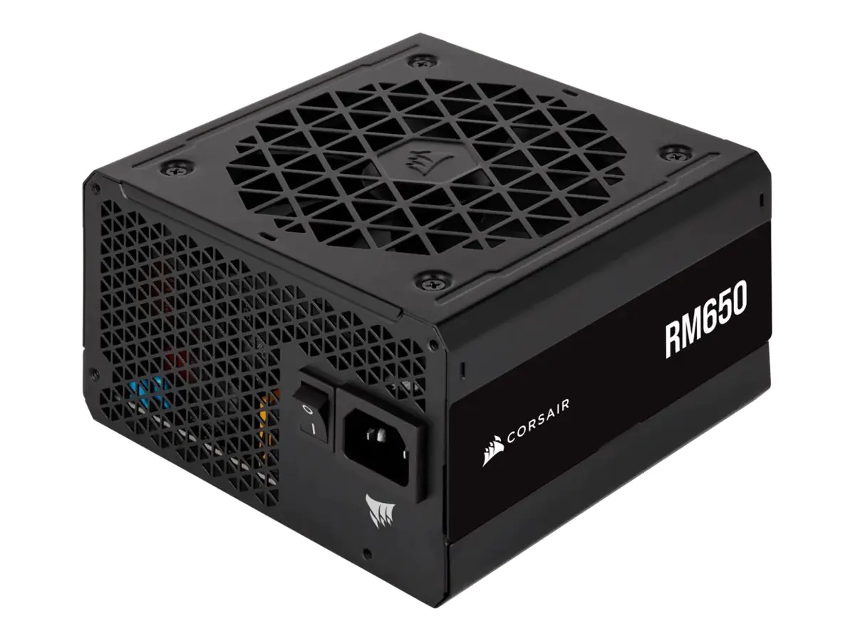 CORSAIR RM Series RM650 - Netzteil (intern) - ATX12V 2.53 / EPS12V - 80 PLUS Gold - Wechselstrom 100-240 V - 650 Watt - Europa