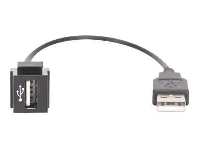 Digitus Professional DN-93402 - Modulare Eingabe - USB 2.0 Type A - Schwarz, RAL 9005