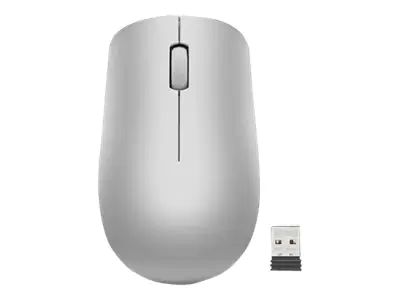 Lenovo 530 Wireless Mouse - Maus - rechts- und linkshändig - optisch - 3 Tasten - kabellos - 2.4 GHz - kabelloser Empfänger (USB) - Platinum Grey
