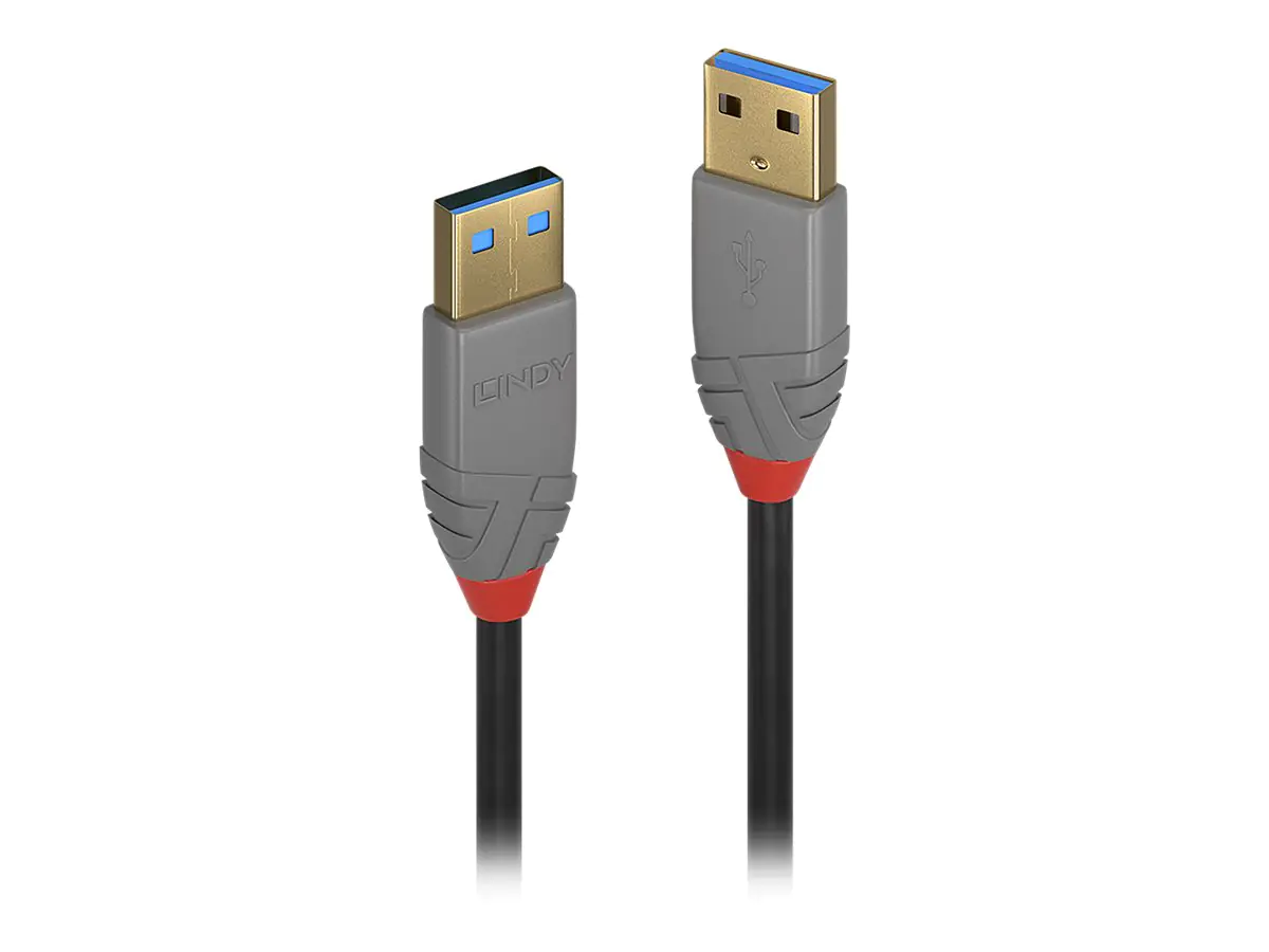Lindy Anthra Line - USB-Kabel - USB (M) zu USB (M) - USB 2.0 - 1 m - rund - Schwarz