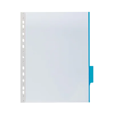 DURABLE Sichttafel FUNCTION DIN A4 Hart PVC Farbe des Reiters: blau 5 St./Pack. DURABLE Sichttafel FUNCTION DIN A4 Hart PVC Farbe des Reiters: blau 5 St./Pack.