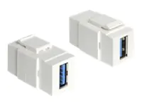 DeLOCK - Modularer Einschub (Kopplung) - SuperSpeed USB