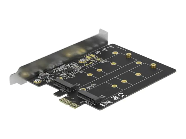 Delock - Speicher-Controller - M.2 - M.2 Card - Low-Profile - PCIe 3.0