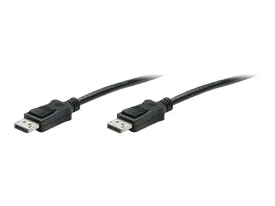 TECHly - DisplayPort-Kabel - DisplayPort (M) zu DisplayPort (M) - 5 m - Schwarz