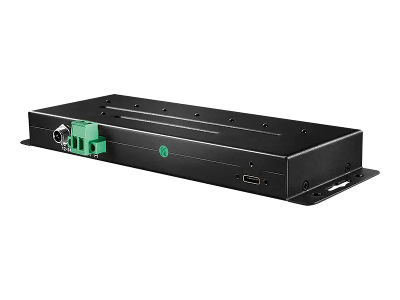 Lindy - Hub - 3 x USB 3.1 Gen 2 + 4 x USB 3.1 - an Rack montierbar - Gleichstrom