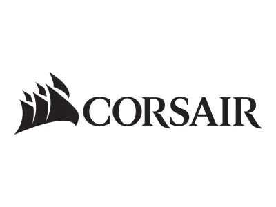 Corsair Style A - Stromkabel - PCI Express 16-polig (M)