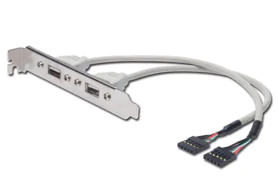 ASSMANN - USB-Konsole - Inline, 5-polig (W) zu USB (W) - 25 cm - beige