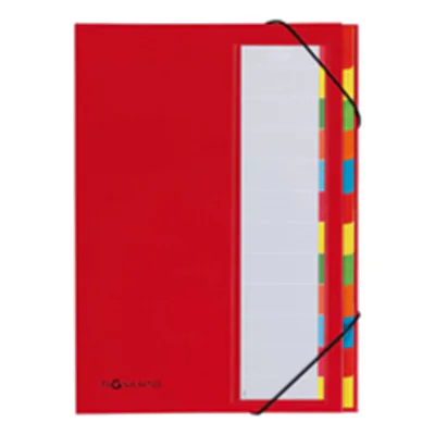 PAGNA Ordnungsmappe Deskorganizer 44133-01 DIN A4 12Fächer rot