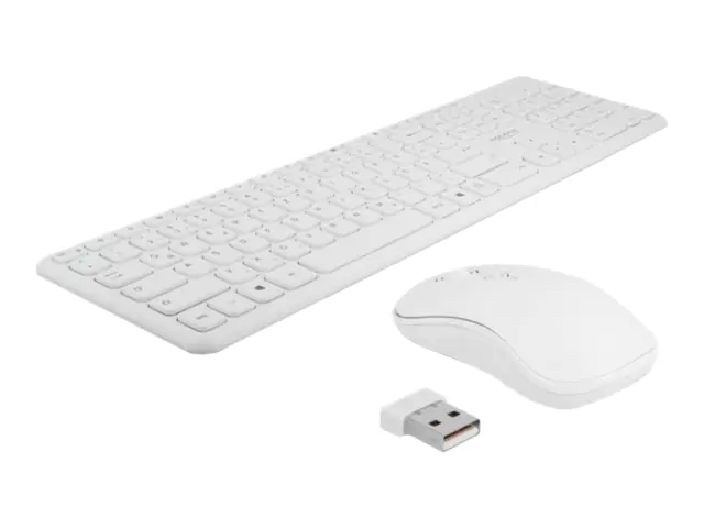 DeLOCK - Tastatur-und-Maus-Set - kabellos - 2.4 GHz - QWERTZ - Deutsch - weiß - retail