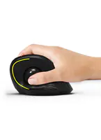 Port 900719 mouse Right-hand RF Wireless+Bluetooth Optical 1600 DPI - Maus - 1.600 dpi
