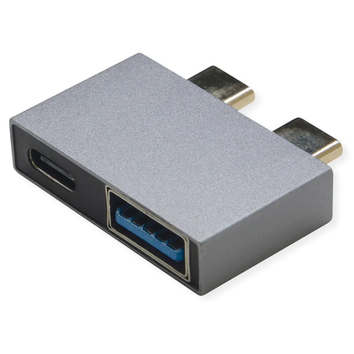 Roline - USB-Adapter - 24 pin USB-C (M) zu 24 pin USB-C, USB Typ A (W) - USB 3.2 Gen 2 - 5 V - 3 A - Silber