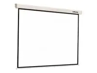 Reflecta Crystal-Line Motor lux - Leinwand - Deckenmontage möglich, geeignet für Wandmontage - motorisiert - 277 cm (109") - 1:1 - Matte White