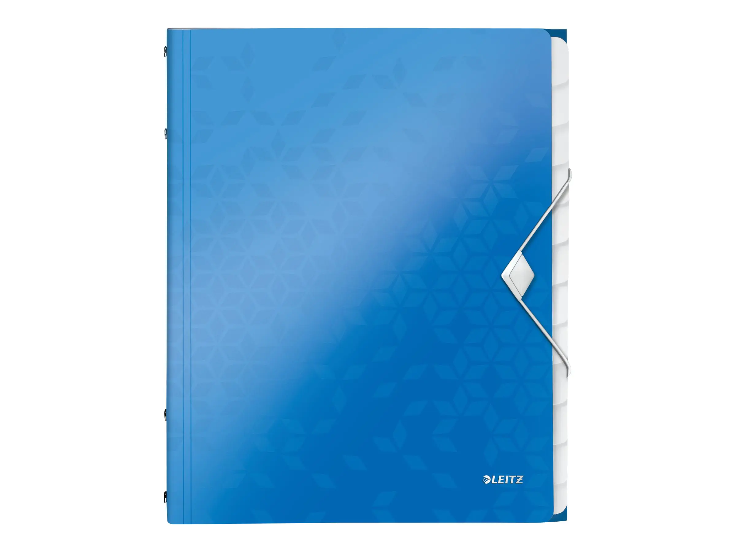 Esselte Leitz WOW - Gliederungsordner - 12 Fächer - 12 Teile - für A4 (210 x 297 mm) 46340036