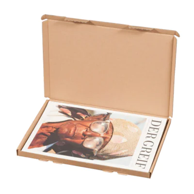 smartboxpro Großbriefkarton 322102425 A5 215x155x15mm br smartboxpro Großbriefkarton 322102425 A5 215x155x15mm br
