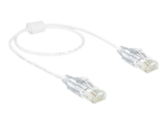 Delock - Patch-Kabel - RJ-45 (M) zu RJ-45 (M) - 50 cm - UTP - CAT 6 - halogenfrei - weiß