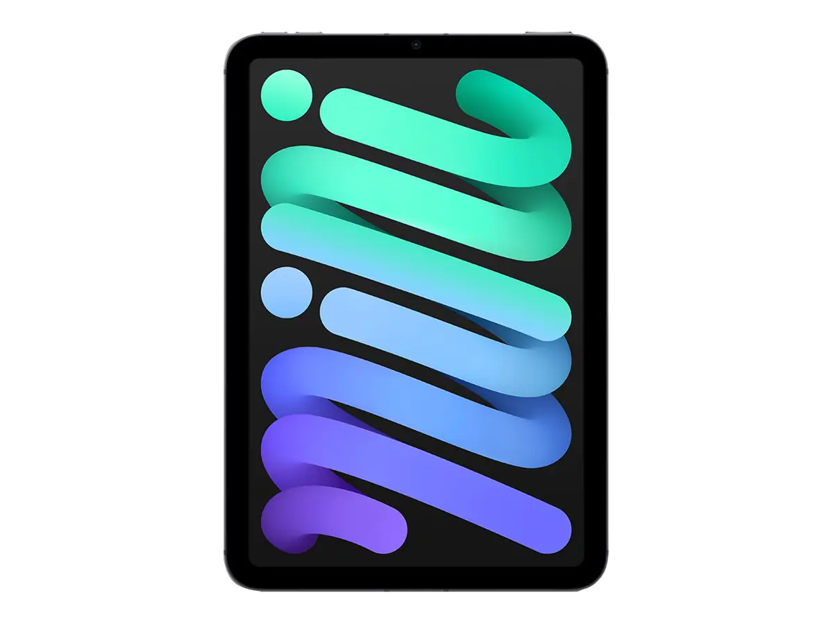 Apple iPad mini Wi-Fi + Cellular - 6. Generation - Tablet - 256 GB - 21.1 cm (8.3") IPS (2266 x 1488) - 3G, 4G, 5G - Space-grau