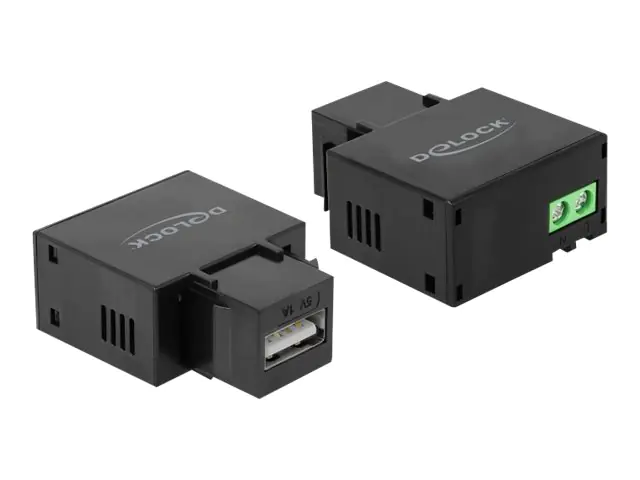 DeLOCK Keystone module - Modulare Eingabe - USB-Ladefunktion - Schwarz