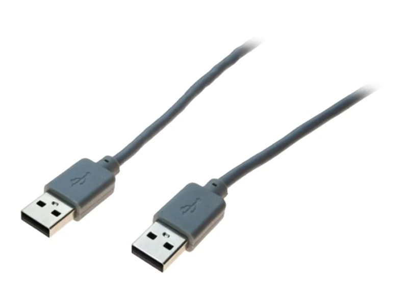 generic - USB-Kabel - USB (M) zu USB (M) - USB 2.0 - 1 m - Grau
