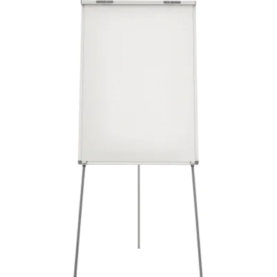 Diverse Magnetoplan 1226966, Freistehend, Porträt, Silber