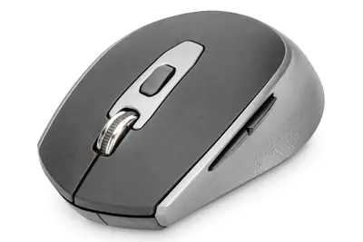 DIGITUS DA-20162 - Maus - optisch - 6 Tasten - kabellos - 2.4 GHz - kabelloser Empfänger (USB) - Schwarz/Grau
