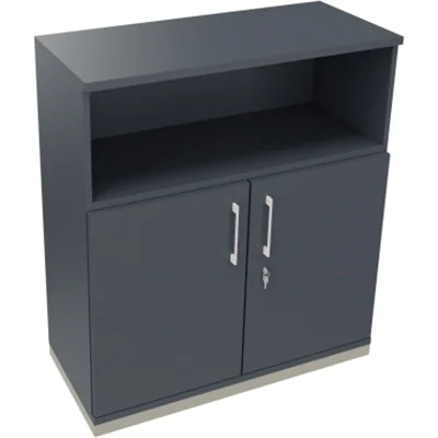 Kombischrank 2OH Tür 1OH Regal B1000xT442xH1133mm si/Lavagrau